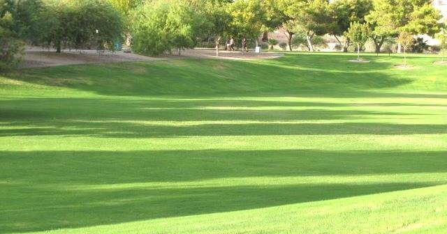 Havasu preschoolers the focus of Parks and Rec weekend golf open