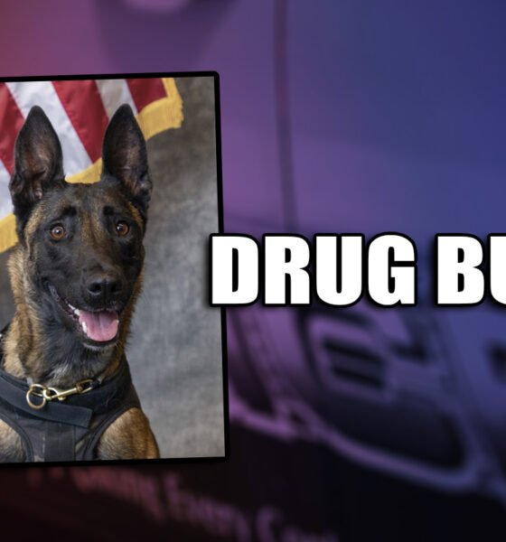 Maricopa Police Department K9 Karma was instrumental to a drug arrest of Marcor Farr and Cory Baker, both 34, on Jan. 21, 2025 in Maricopa. [City of Maricopa]