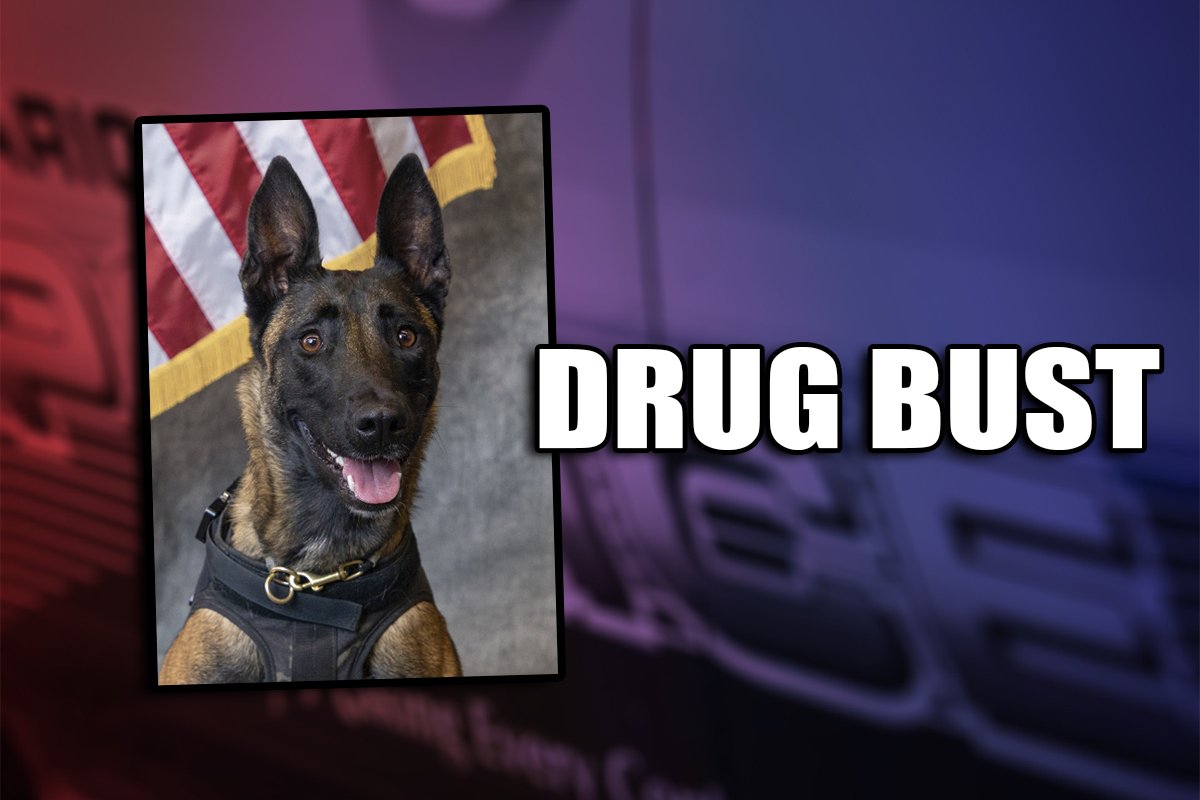 Maricopa Police Department K9 Karma was instrumental to a drug arrest of Marcor Farr and Cory Baker, both 34, on Jan. 21, 2025 in Maricopa. [City of Maricopa]