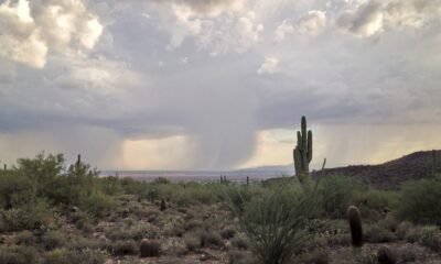 Maricopa to see frosty mornings, maybe sprinkles this week