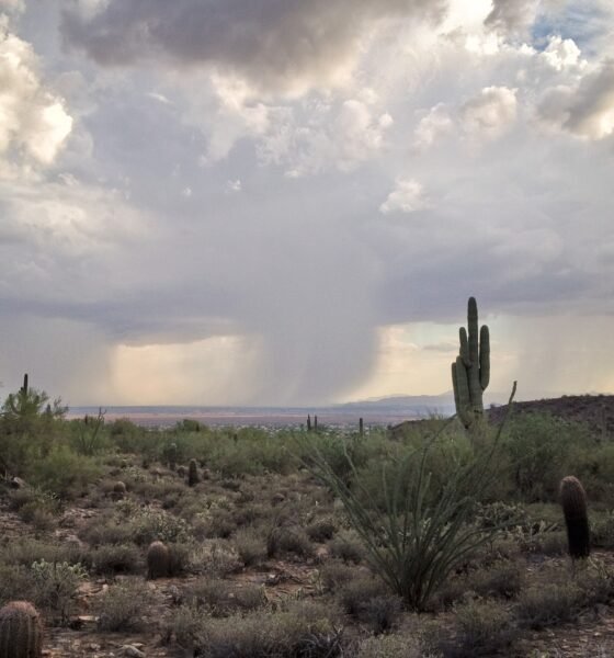 Maricopa to see frosty mornings, maybe sprinkles this week