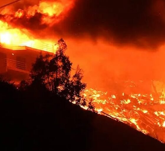 Pima County Democratic Party Deletes Post Blaming Victim For California Fire Tragedy