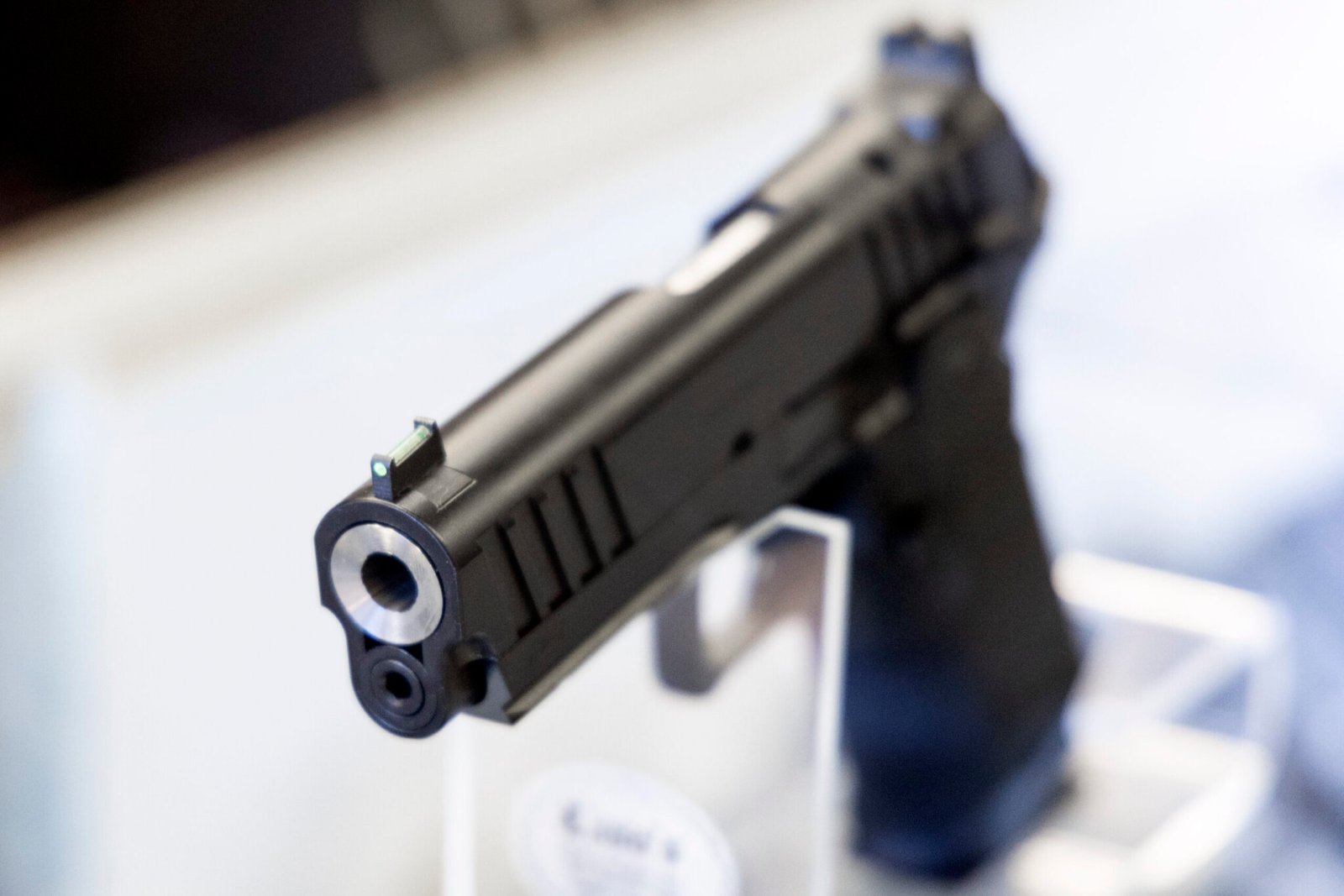 Republicans balk at child fatality report recommending no guns in households with children