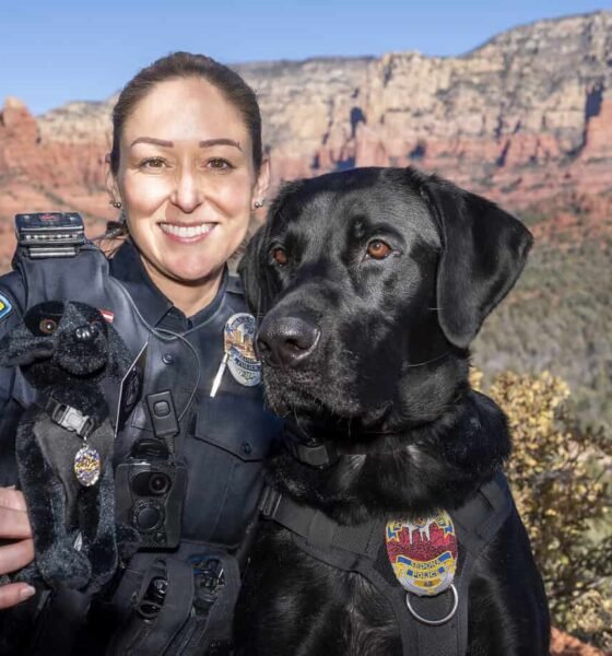 Sedona Police Department selling K-9 Sam plushies