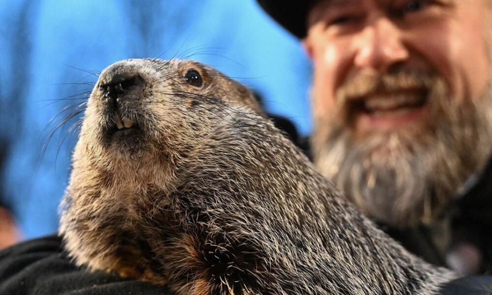 WATCH LIVE: Early spring? Late winter? Punxsutawney Phil set to make his prediction