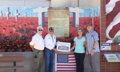 Havasu VFW mural recognized with award from local beautification group