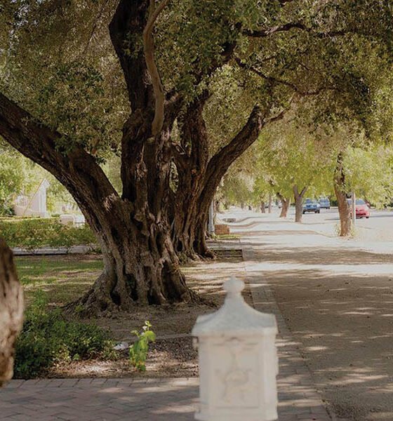 Association works to protect neighborhood