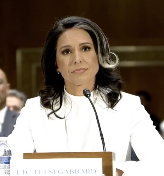 Former Hawaii U.S. Rep. Tulsi Gabbard, President Donald Trump's pick to serve as director of national intelligence, appears before the Senate Select Committee on Intelligence on Thursday, Jan. 30, 2025, in Washington, D.C. (Screenshot from committee webcast)