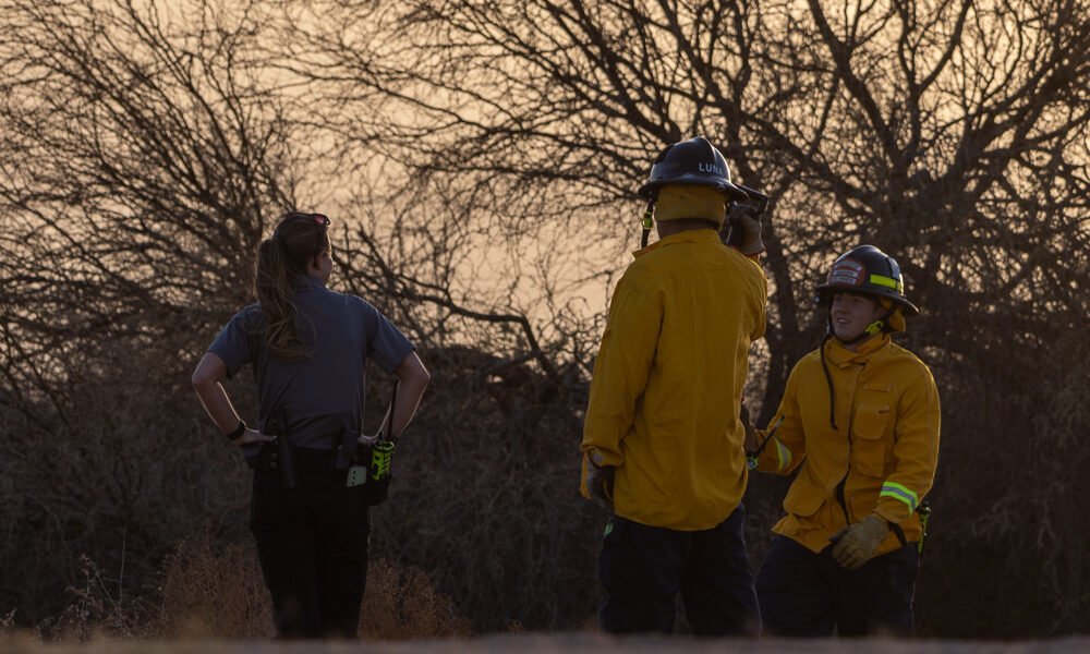 Meadows brush fire call turned out to be a smoldering bag