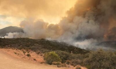 Proposed Legislation Would Improve Wildfire Mitigation Efforts