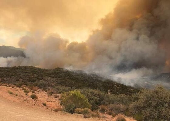 Proposed Legislation Would Improve Wildfire Mitigation Efforts