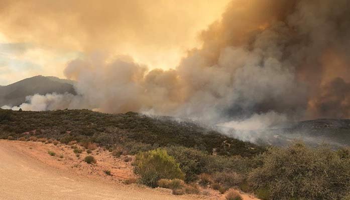 Proposed Legislation Would Improve Wildfire Mitigation Efforts