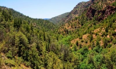 Tonto National Forest