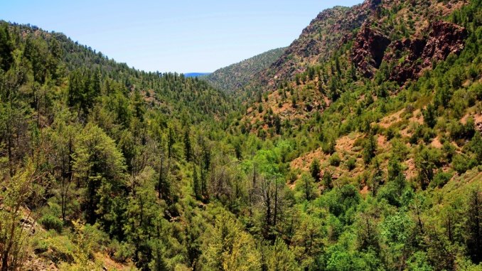 Tonto National Forest