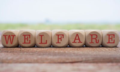 welfare spelled out in wooden blocks