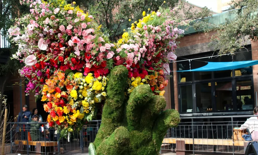 Tempe Blooms festival turned Mill Avenue into an explosion of color