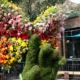 Tempe Blooms festival turned Mill Avenue into an explosion of color