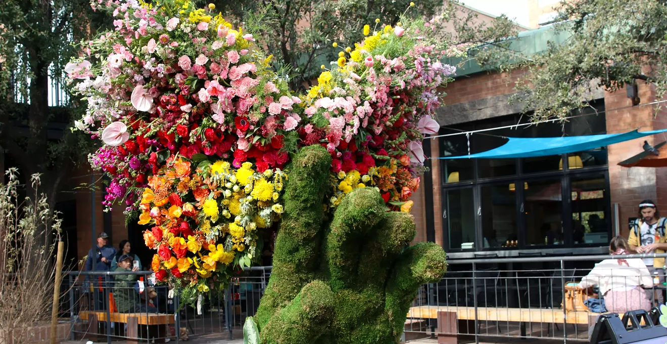 Tempe Blooms festival turned Mill Avenue into an explosion of color