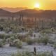 This national monument may be Maricopa’s biggest secret — literally