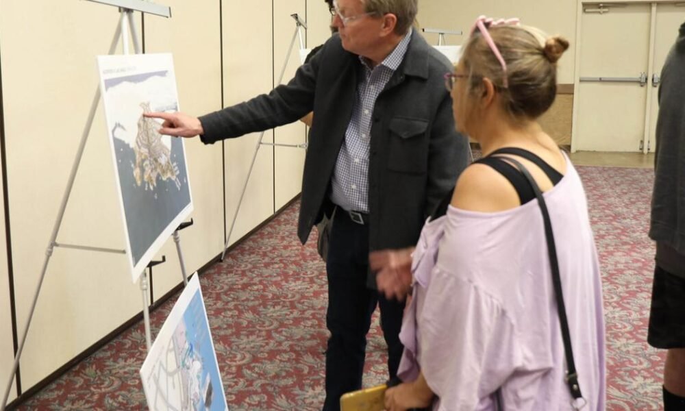 Public weighs in on proposed resort, residential development on Havasu’s Island