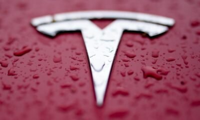 Man drives car into protesters outside a Tesla dealership, nobody hurt, sheriff says