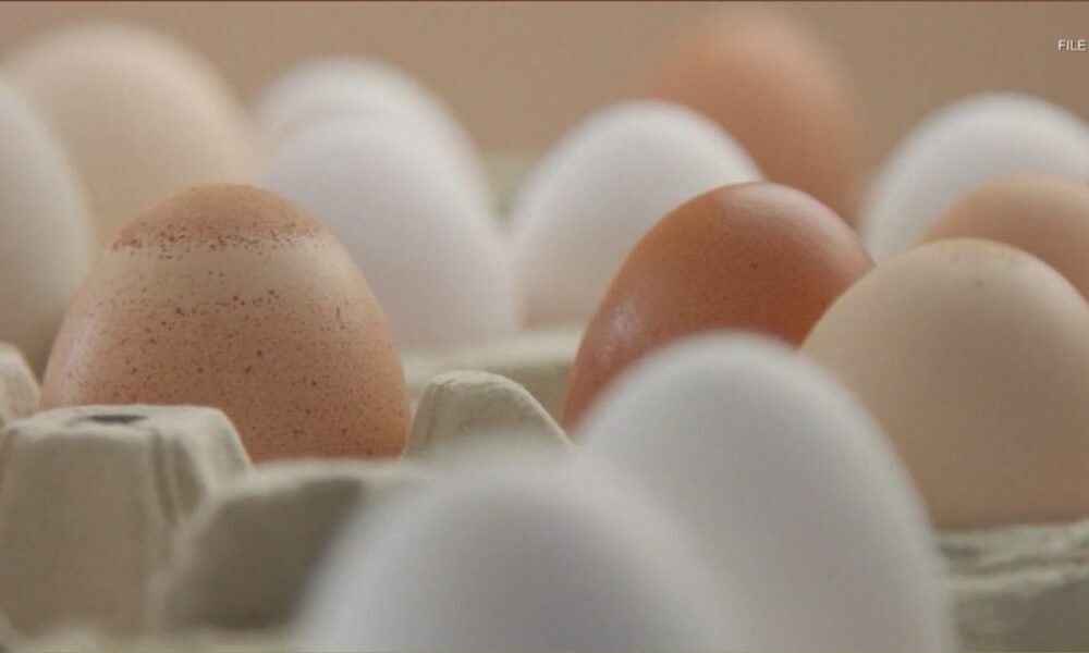 Egg prices are falling nationally, but grocery stores may not be ready to ease off the cost