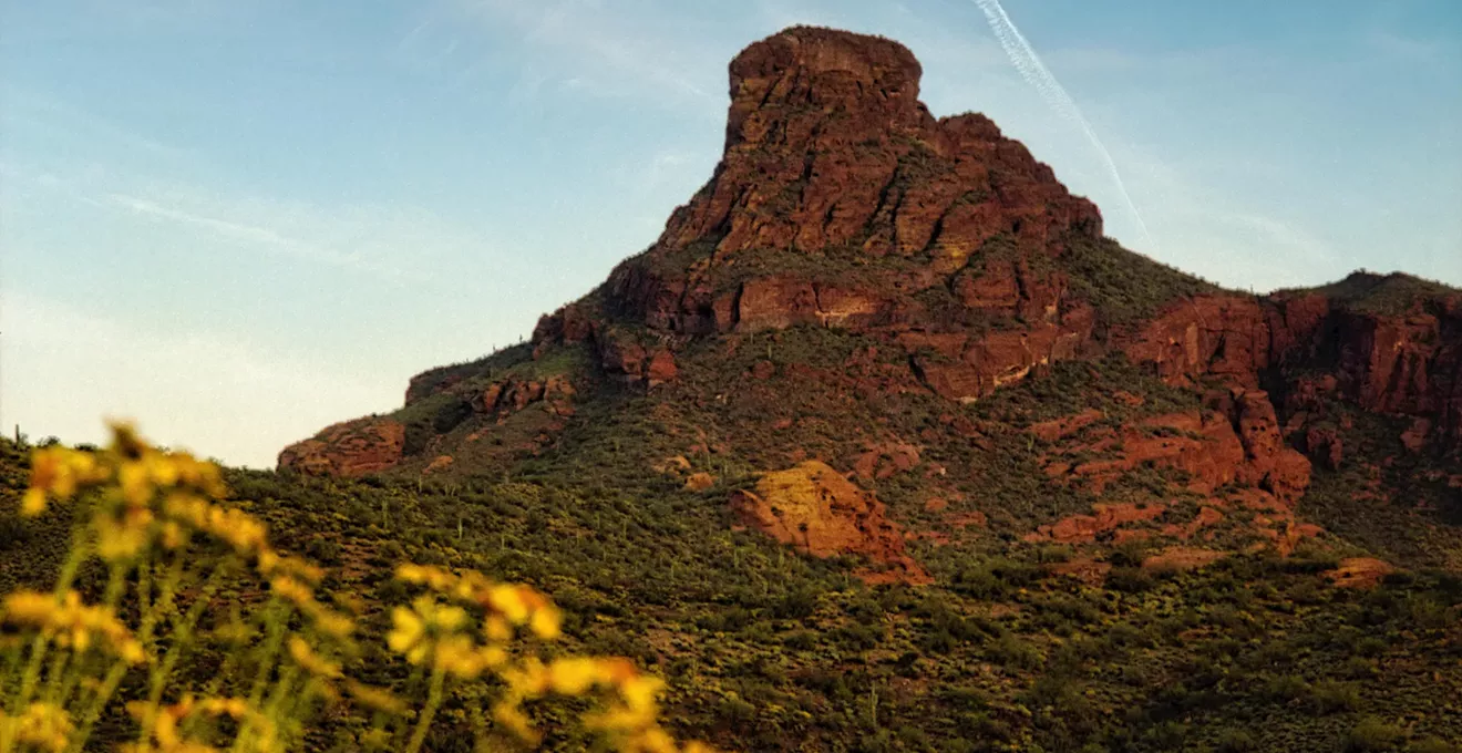 Best wildflower hikes around Phoenix: Telegraph Pass, Spur Cross