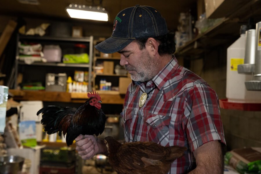 Luis Gallero, who works at Gordon’s Feed, showcases two of his own chickens on Jan. 26, 2023, at the store in Phoenix. (Photo by Gianna Abdallah/Cronkite News)