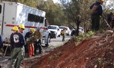 DFFM hosts Firewise workday at Coffee Pot subdivision