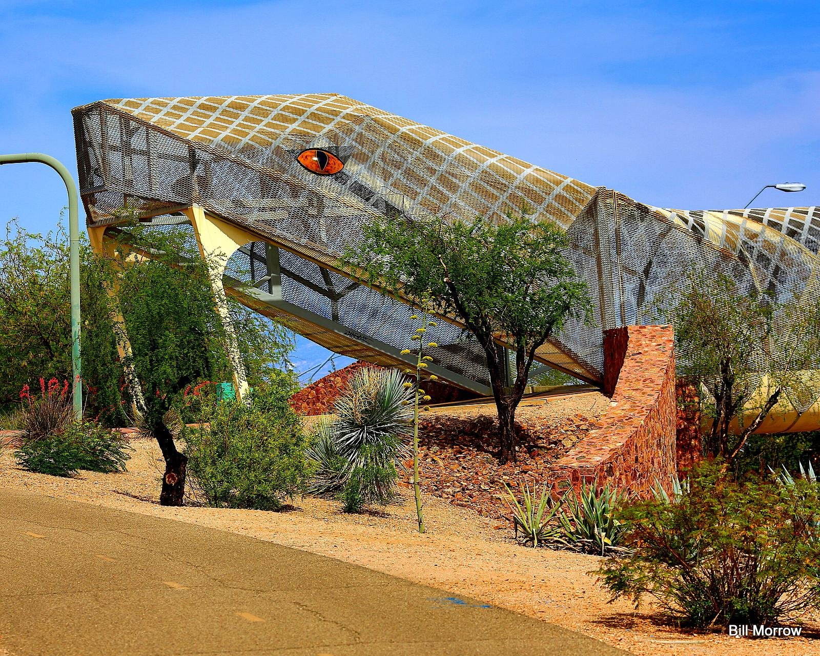 Repairs set for Diamondback Bridge in Downtown Tucson