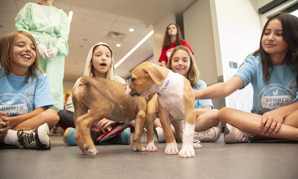 Spring break camp for young animal lovers