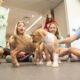 Spring break camp for young animal lovers