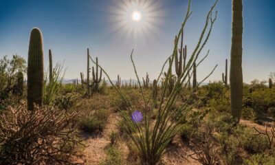 Public lands: The places that hold our nation’s stories are not for sale