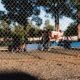 City of Tucson hosting community meetings to discuss food distribution in city parks