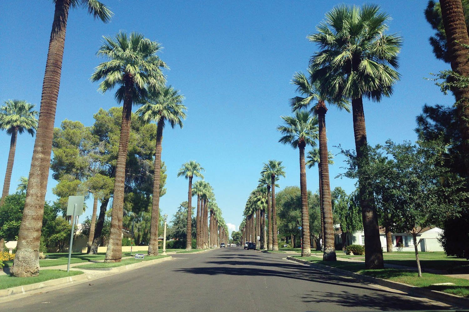 Discover the charm of Encanto-Palmcroft
