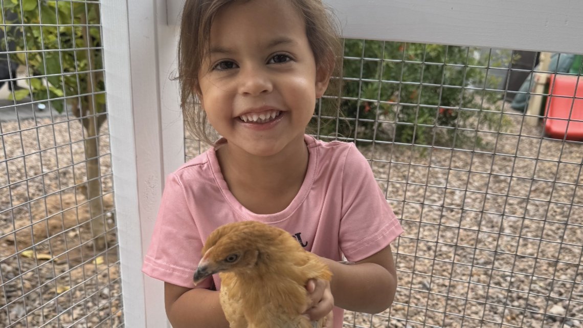 Interested in backyard chickens? Valley businesses are making urban farming more accessible than ever