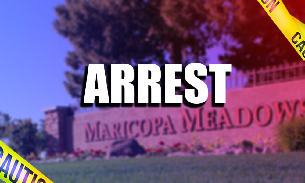 Meadows man pepper balled, arrested after welfare check