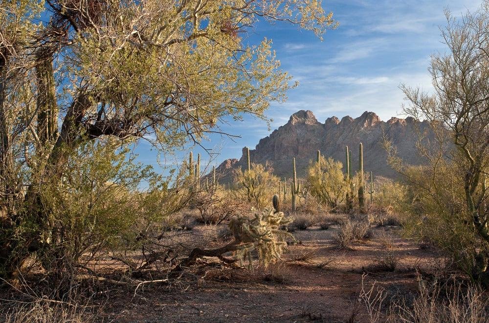 Report: Trump admin mulls opening Arizona's Ironwood Forest Nat'l Monument to drilling & mining