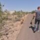 West Valley man calls for javelina relocation after attack