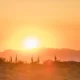 How to stay safe in extreme heat during Arizona summers