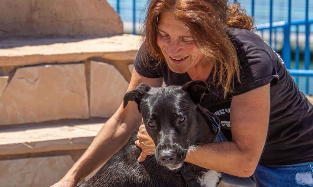 Travels with Charley: Woman, pup begin journey across U.S.