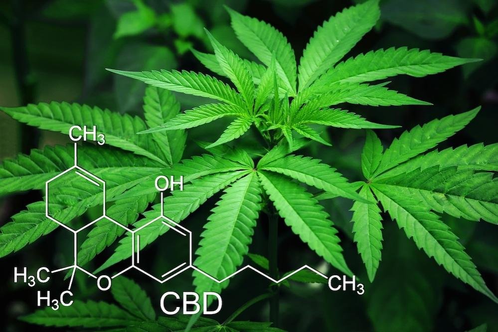 Arizona hemp industry moves to protect unlicensed retailers from criminal penalties