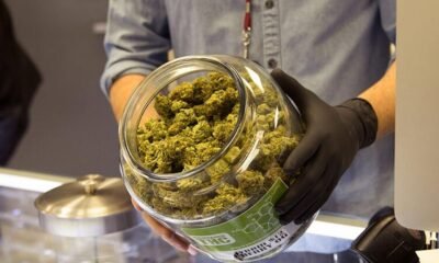 Arizona’s cannabis industry struggles as Q1 sales plummet 13% from 2024 levels