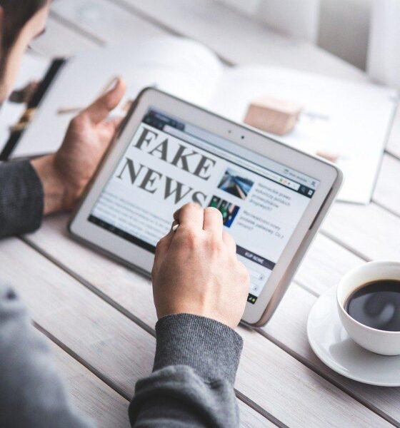 FactCheck: How to combat misinformation