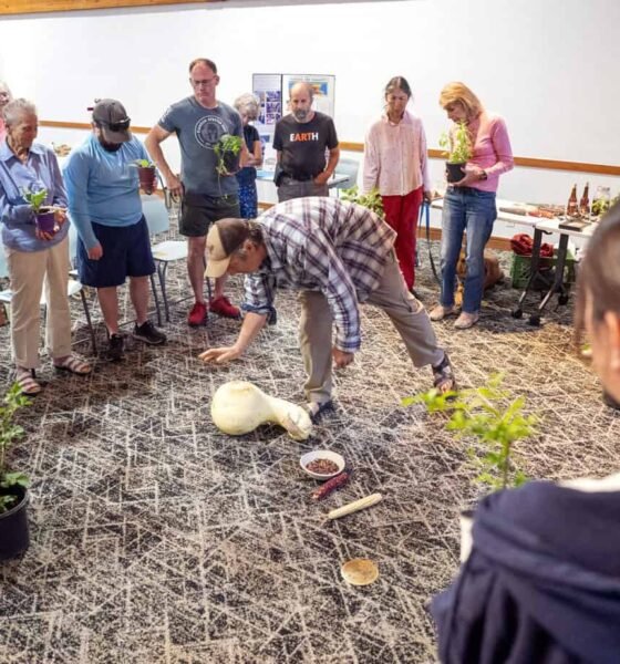 Gardeners plant ideas of food freedom at library workshop