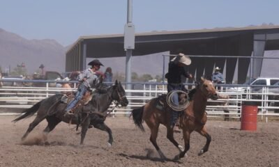 Inside America’s most dangerous sport as increased safety measures aim to protect riders, horses