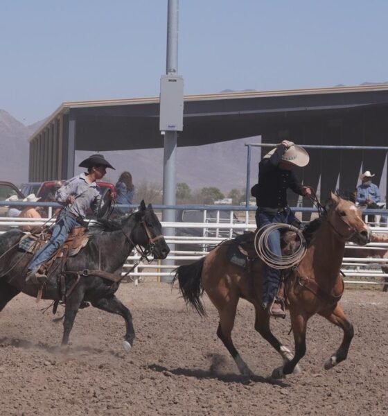 Inside America’s most dangerous sport as increased safety measures aim to protect riders, horses
