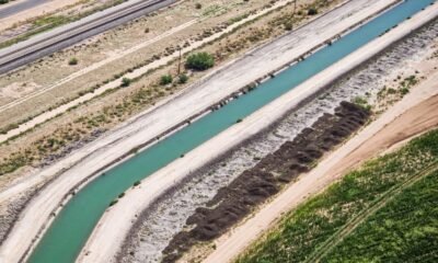 InMaricopa