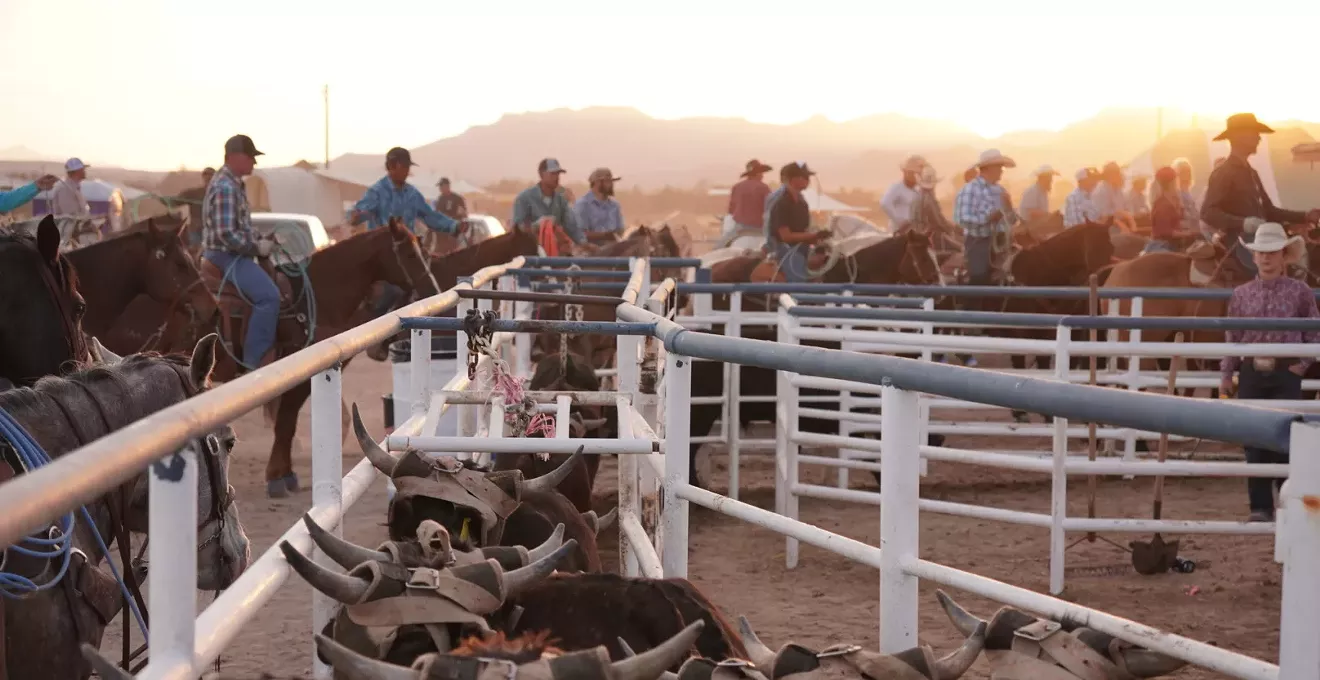 Rodeo’s rough reality: Inside America’s most dangerous sport