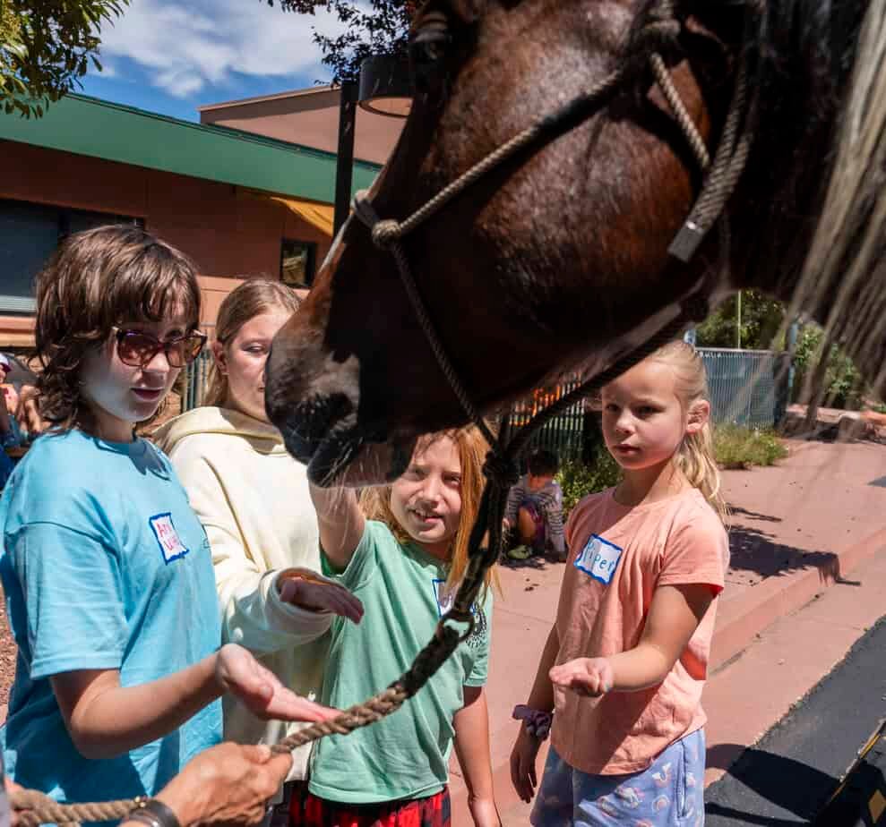 School’s out for summer, but local camps fill the gap